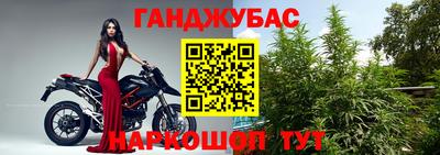 гашик Ливны