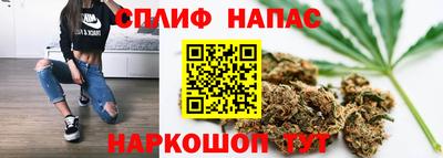 гашик Ливны