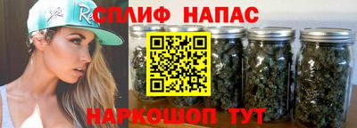 гашик Ливны