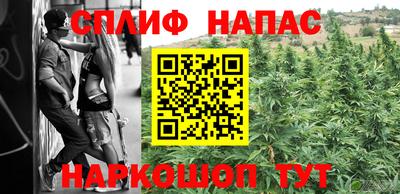 крисы Лесосибирск