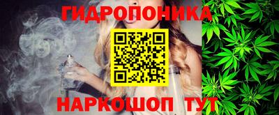 гашик Ливны
