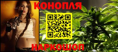 крисы Лесосибирск