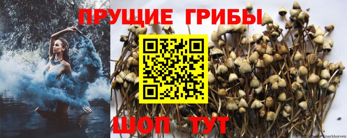 Псилоцибиновые грибы мухоморы Верхний Уфалей